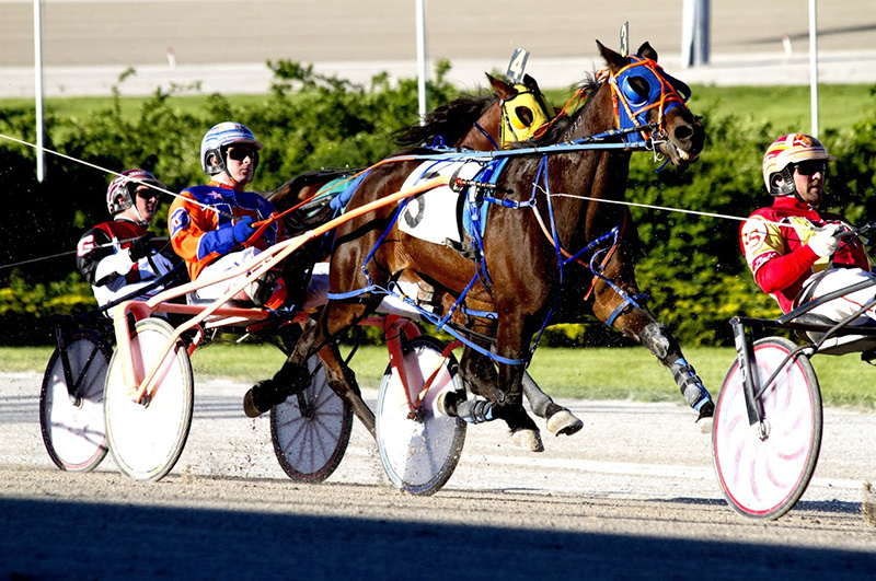 Close-up trackside view of know harness racing with two racers and horses wearing racing equipment.